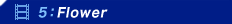 5�FFlower